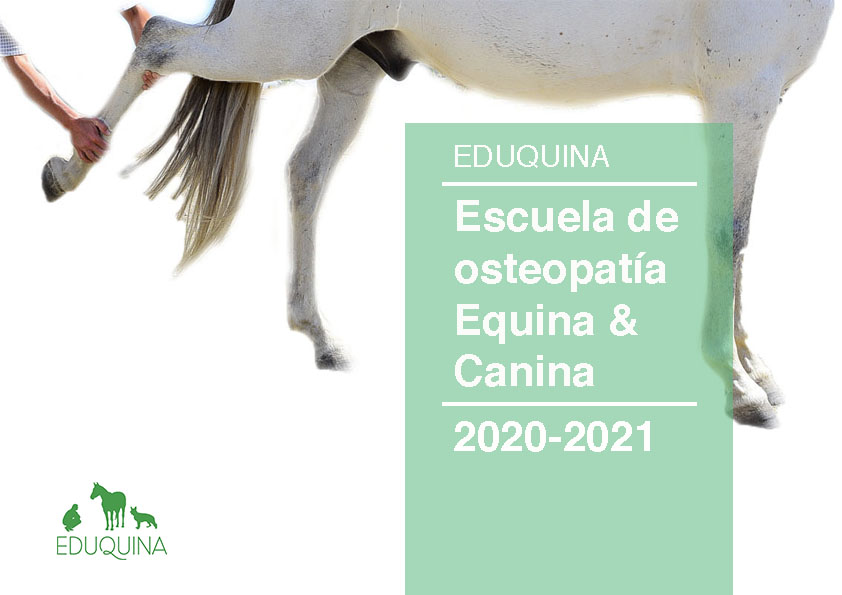 ESCUELA DE OSTEOPATIA 2020-2021
